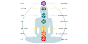 Introduction to the Ayurvedic Chakras